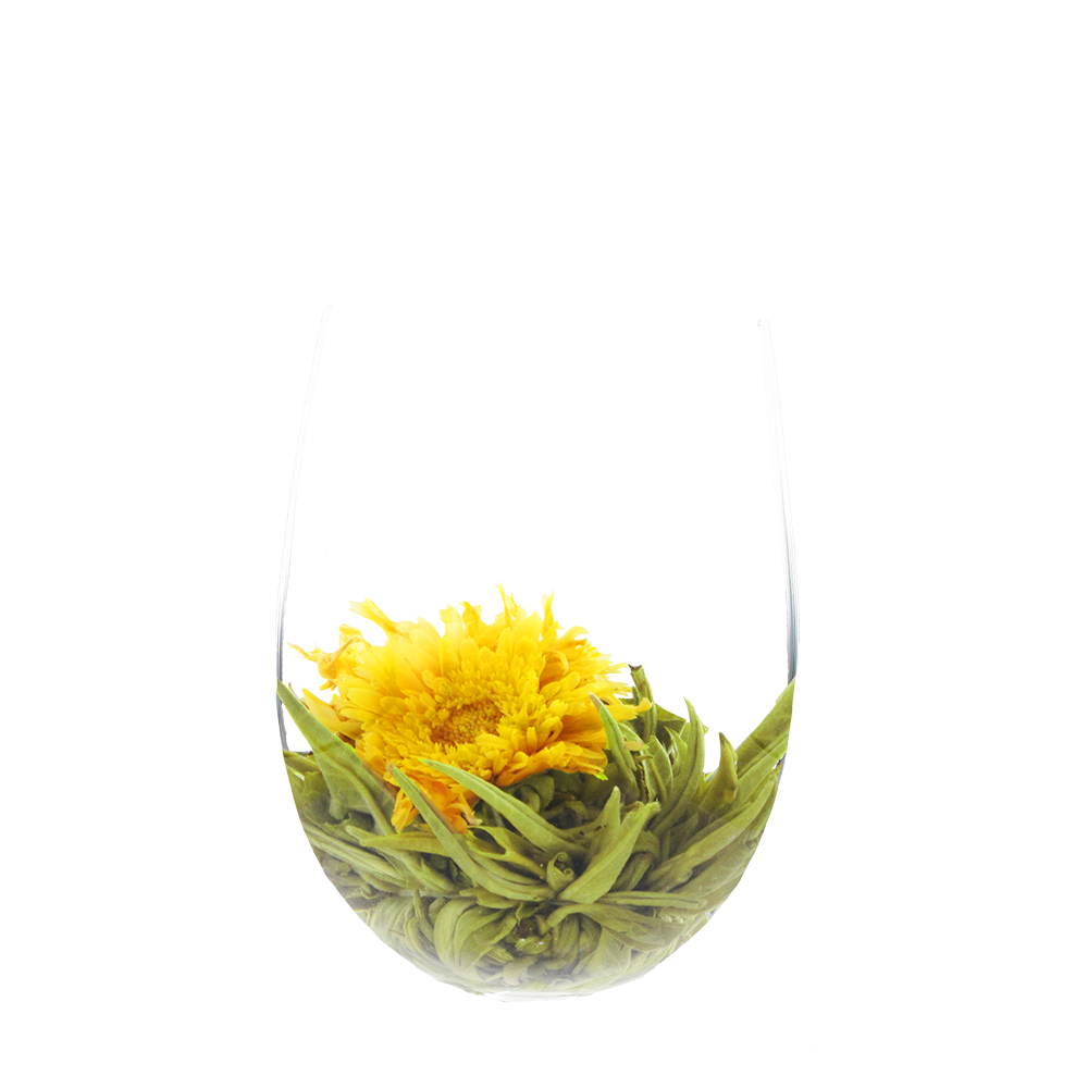 Fleur de mangue