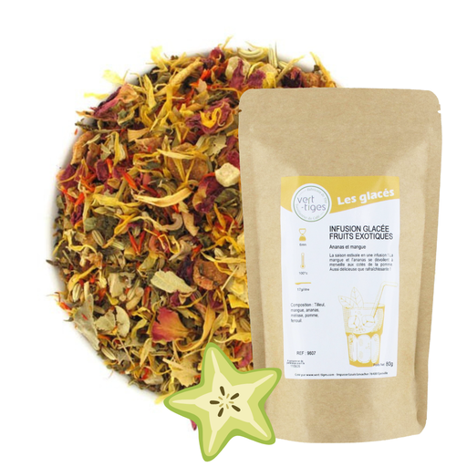 [009607] Infusion glacée fruits exotiques (Sachet 80g)