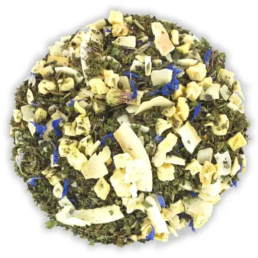 [009608] Infusion glacée Menthe (Sachet 70g)