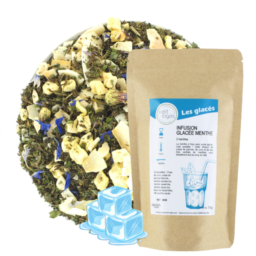 [009608] Infusion glacée menthe (Sachet 70g)