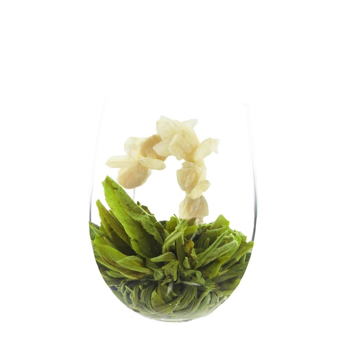 [008212] Amour de jasmin