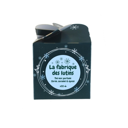 [010287] Cube x20 infusettes La fabrique des lutins